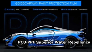 Test d'hydrophobie PCUPPF